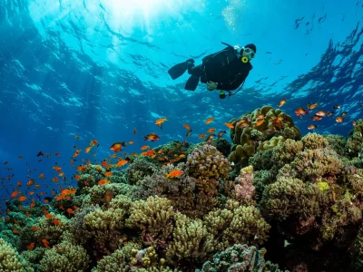 d9a505772f36c87c825df2dada6a789a