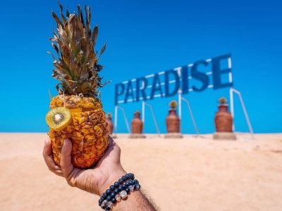 the-paradise-you-need